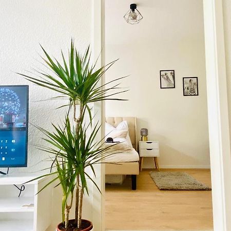 Stilvolles Apartment In Zentraler Lage - Smart-Tv, Queensize-Bett, Altbaustil, Kueche In City-Naehe 埃尔福特 外观 照片
